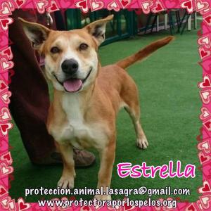 Estrella Estrella