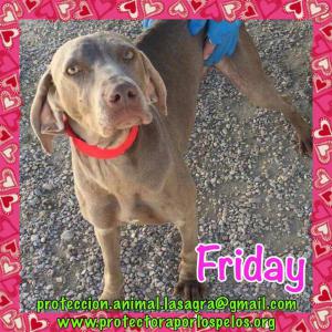 Friday Friday