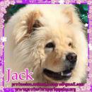 Jack