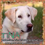 Tina