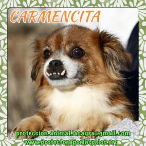Carmencita Carmencita