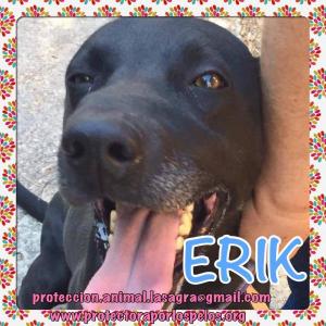 Erik Erik