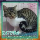 Ratona