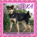 Zuka
