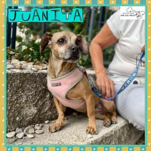 Juanita 