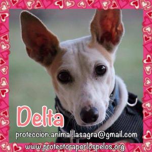 Delta Delta