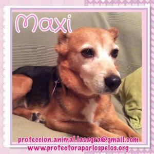 Maxi Maxi