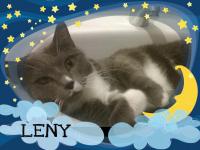 Leny