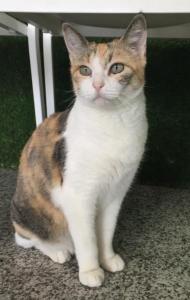 Lucecita Lucecita
