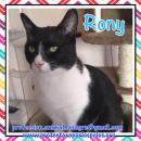 Rony