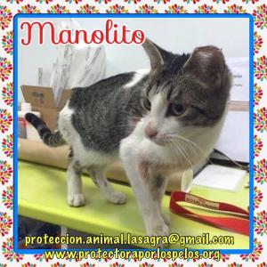 Manolito Manolito