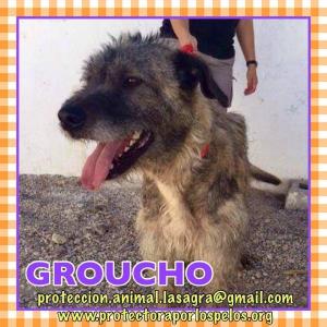 Groucho Groucho