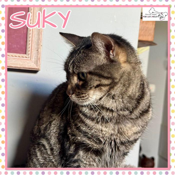 Suky