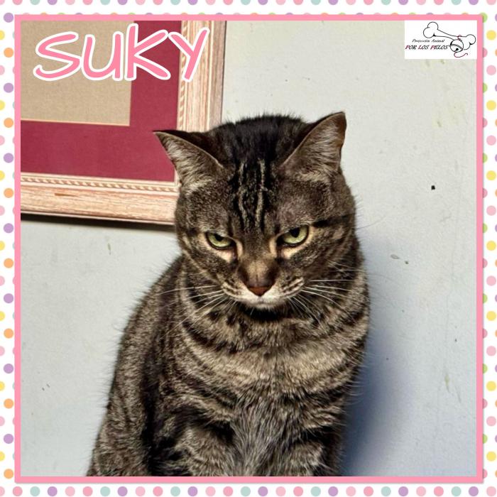 Suky