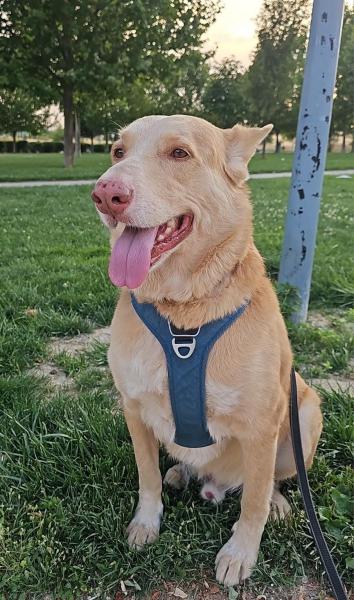 Max