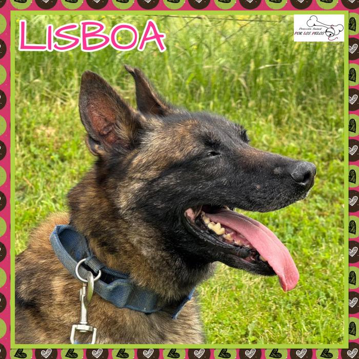 Lisboa