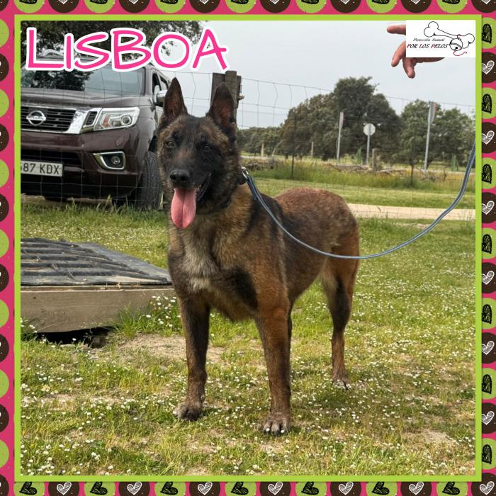 Lisboa