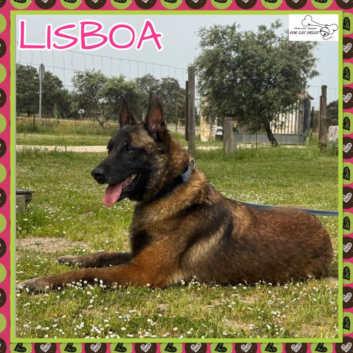 Lisboa