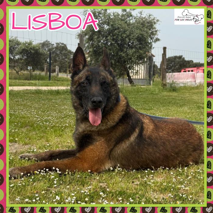 Lisboa