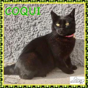 Coqui 