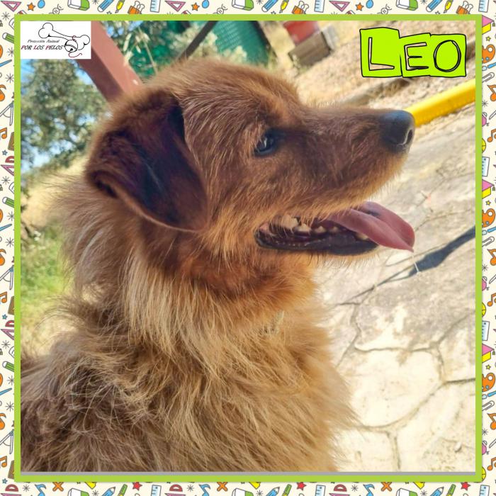 Leo