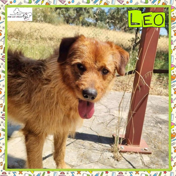 Leo