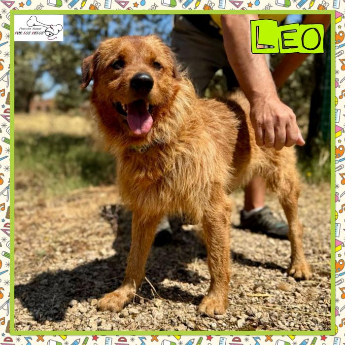 Leo