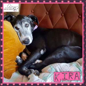 Kira