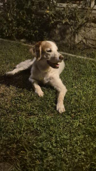 Berta