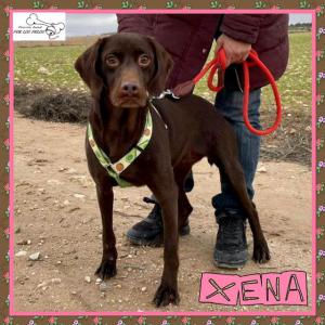 Xena