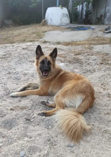 Mali
