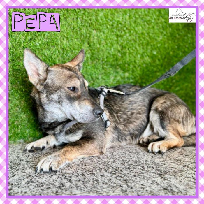 Pepa