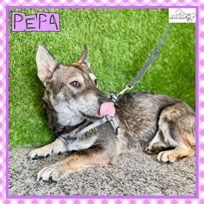 Pepa