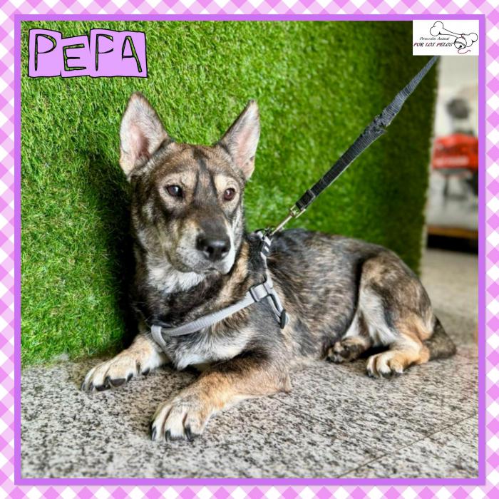 Pepa