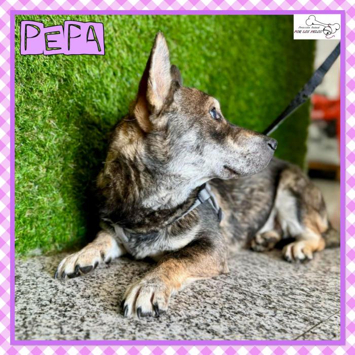 Pepa