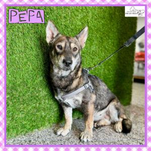 Pepa