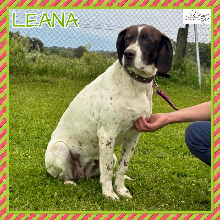 Leana