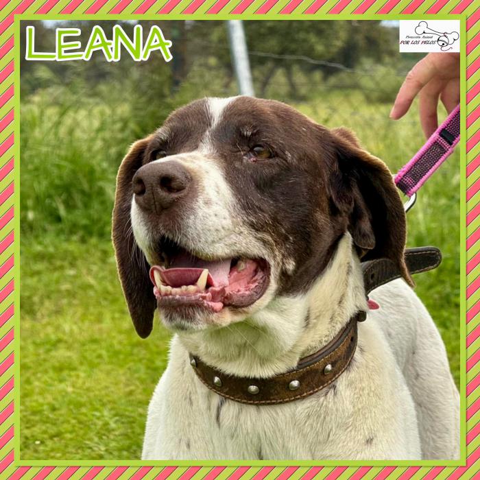 Leana
