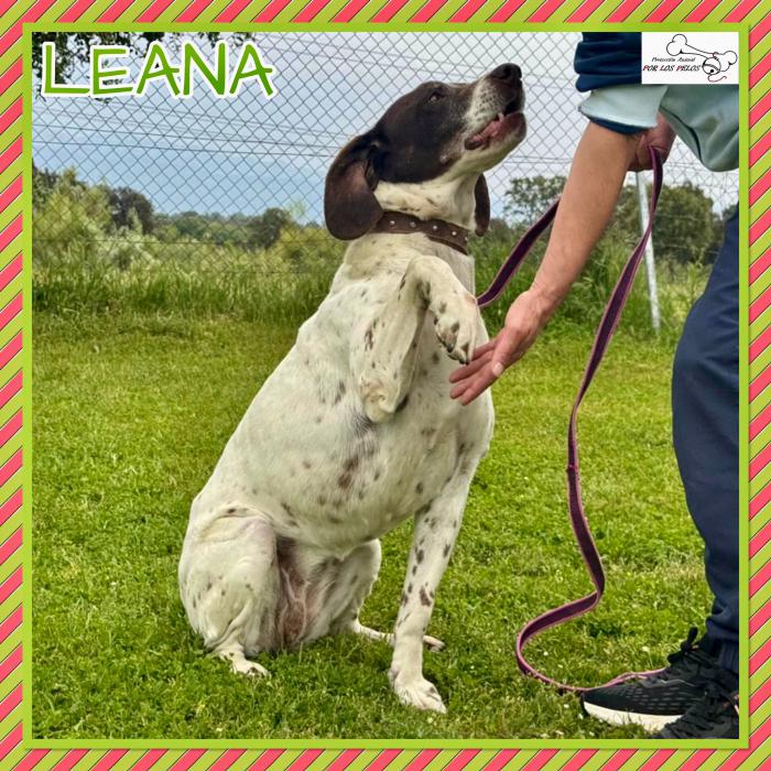 Leana