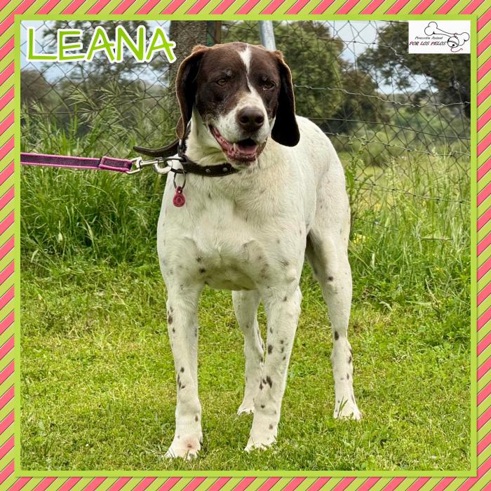 Leana