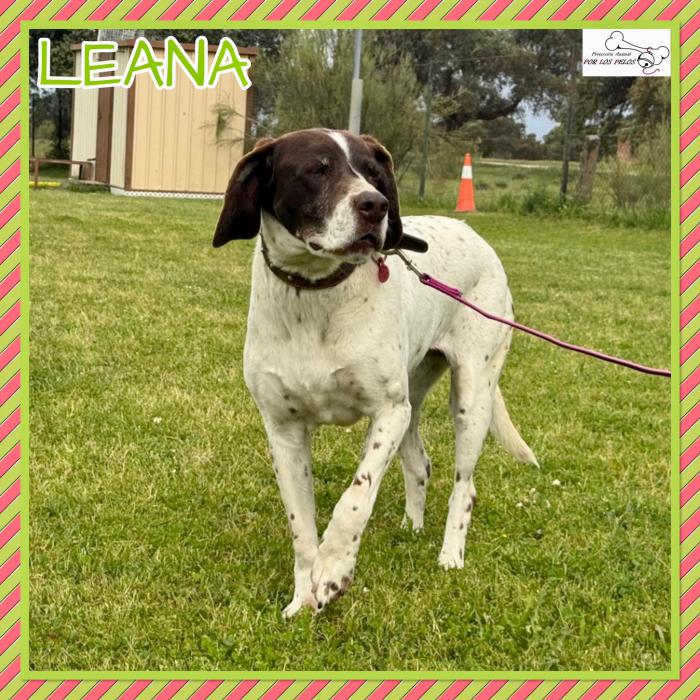 Leana