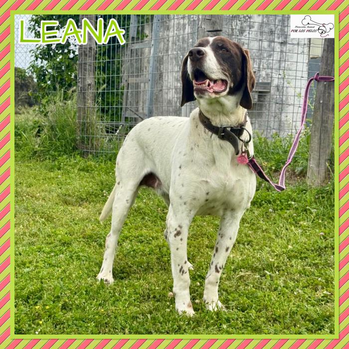 Leana