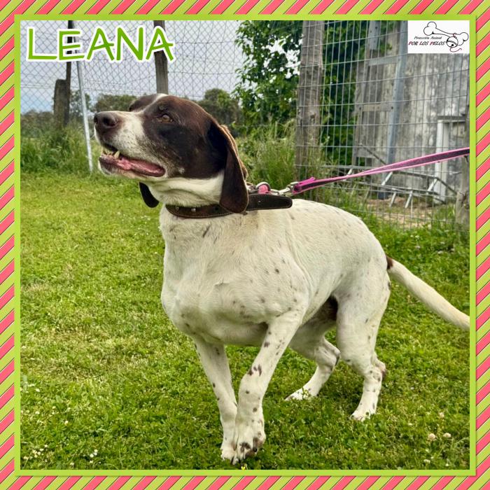 Leana