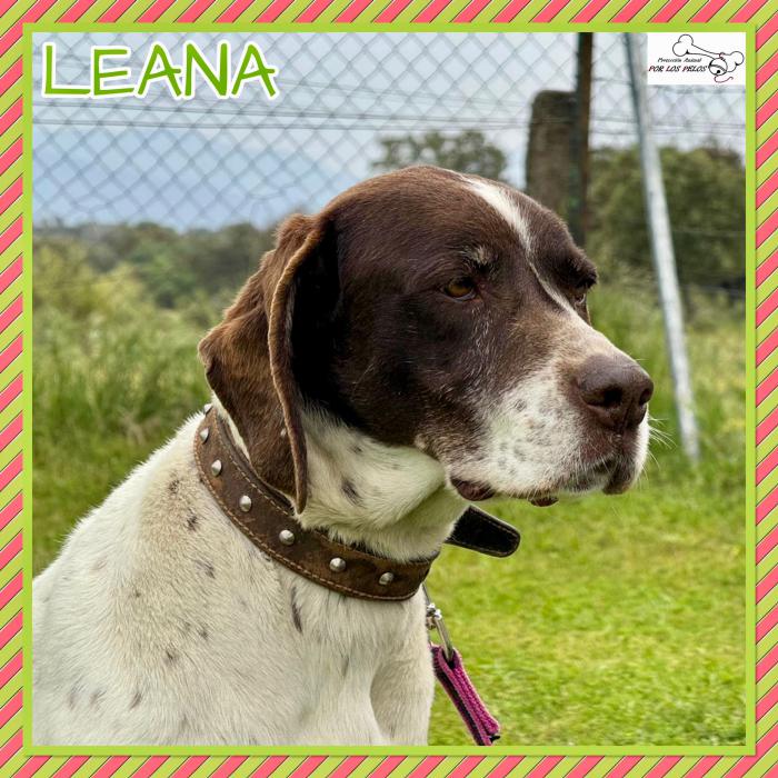 Leana