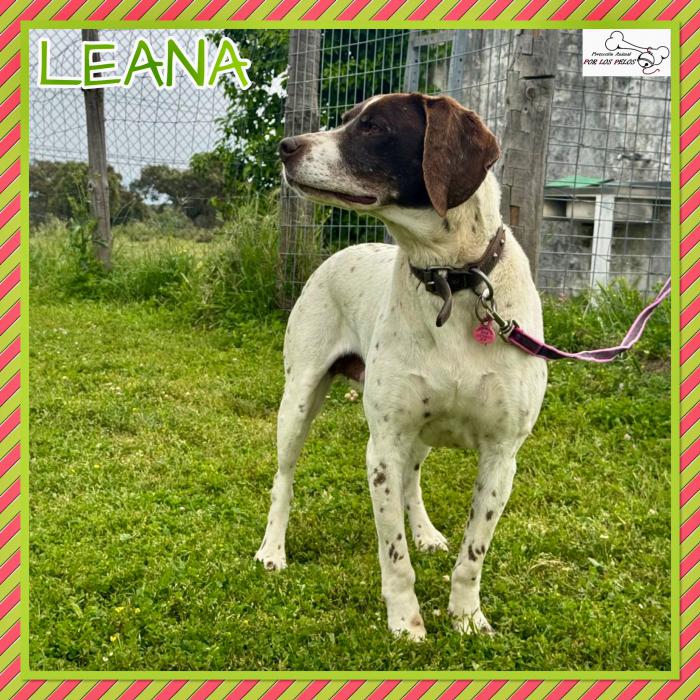 Leana