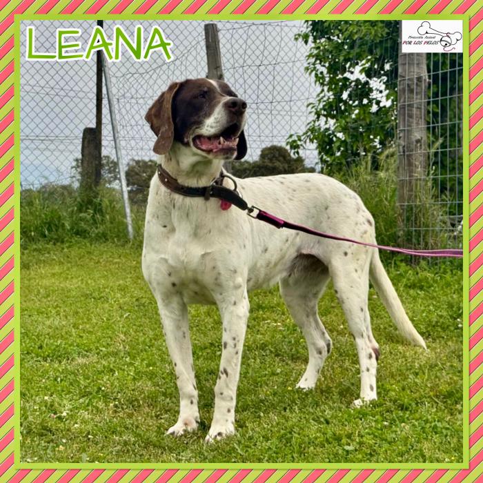 Leana