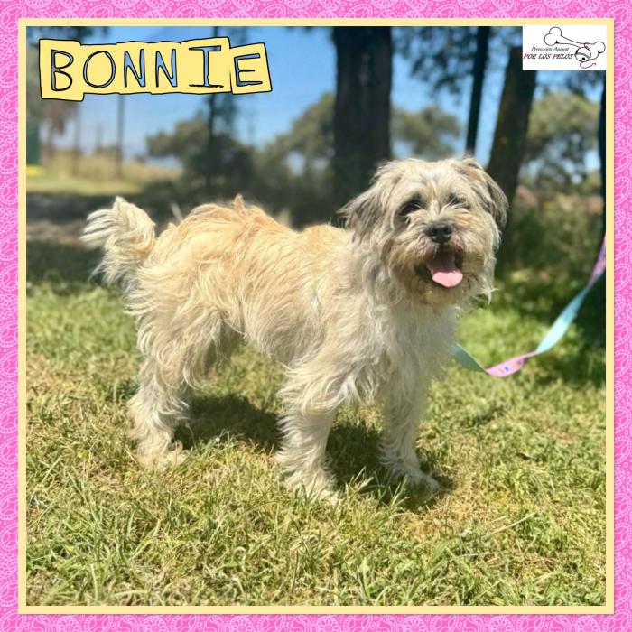 Bonnie