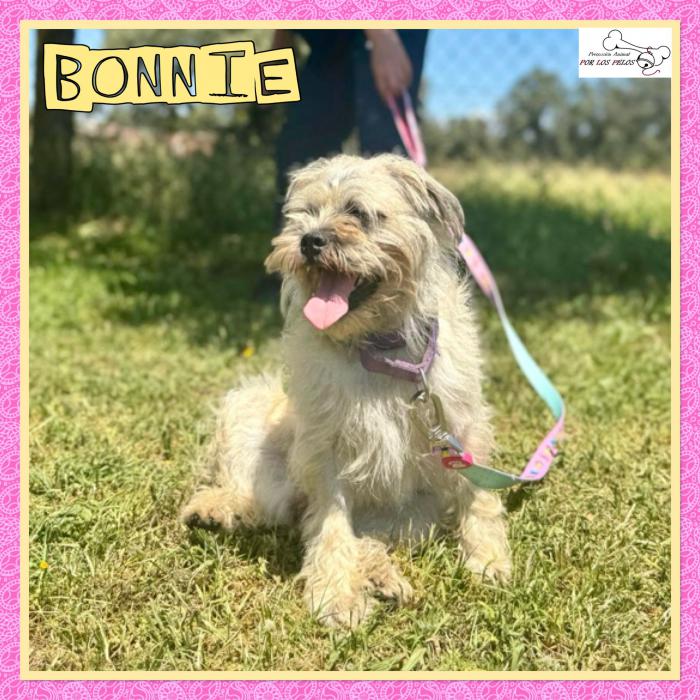 Bonnie