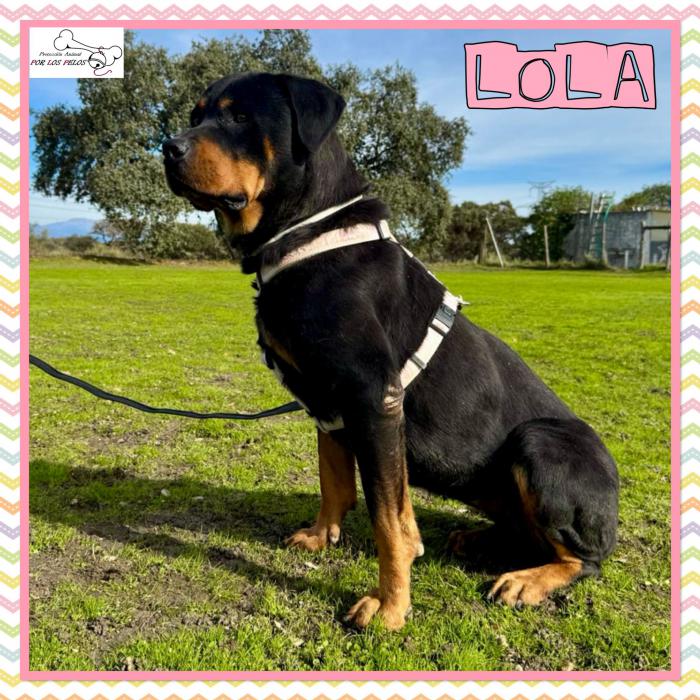 Lola