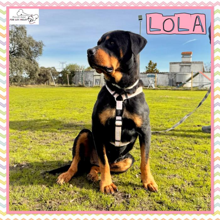 Lola